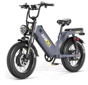 NUEVA Bicicleta Eléctrica ORIGINAL ANIIOKI para Adultos, Batería Extraíble de 70Ah - Product Image 1