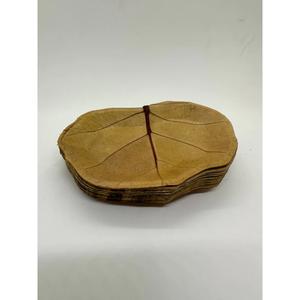 Plato de hoja de uva de mar de alta calidad, plato de picnic de uva de mar, hoja de palma de Areca, uva de mar, Loto Azul de Vietnam + 84855014447 - Product Image 2