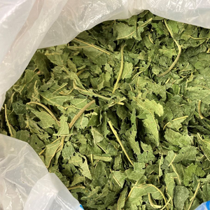 Té de morera vietnamita OEM disponible | Exportación rápida a todo el mundo - Product Image 2