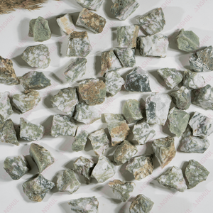 Wholesale Healing <b>Tree</b> Agate 1 Kg Raw Rock Rough Natural Healing <b>Crystal</b> Chunks Irregular Shape for Decoration Meditation - Product Image 4