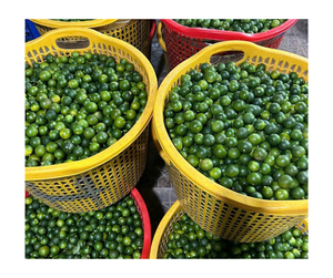 Suministro al por mayor a granel de puré de Calamansi congelado Vietnam 100% puré aromático Natural exportación listo para batidos jugos fruta para untar - Product Image 4