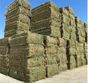 Foin d'alfalfa pour lapins et petits animaux – Balles de feuilles riches en fibres pour la nutrition des petits animaux – Distribution en gros disponible - Product Image 3