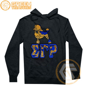 Sigma Gamma Rho personnalisé sweat à capuche brodé en molleton de coton sororité pull de haute qualité vêtements grecs sweats à capuche pour femmes - Product Image 3