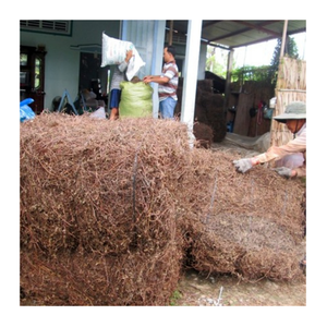 เยลลี่หญ้าดำสำหรับเครื่องดื่มและธุรกิจอาหารเยลลี่หญ้าดำขายส่งจำนวนมากจากเวียดนาม - Product Image 4