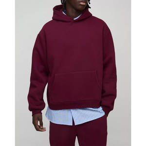 Sudaderas con Capucha de Felpa Francesa Gruesa y Ligera, Personalizadas OEM, para Hombre, Fabricante de Sudaderas de Alta Calidad - Product Image 4