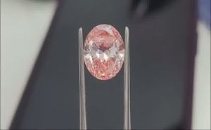 เพชรรูปไข่ทรงโอวัล 5.37 กะรัต สีชมพูแฟนซี ความสะอาดระดับ VVS1 ได้รับการรับรองจาก IGI คุณภาพการเจียระไนเยี่ยม แบบเม็ดเดี่ยว ขายส่ง - Product Image 3