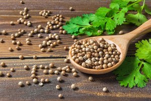 Semillas de Cilantro Orgánicas, Especias Enteras, Hierba Aromática Natural, Alta en Fibra y Proteína, 24 Meses de Duración, Seven Hills para Cocinar - Product Image 1