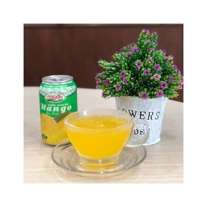 NAWON HALAL Poudre de jus de fruits naturel biologique Concentré 10% Brix Matière première à base d'avoine pour la fabrication de jus 0.25Kg - Product Image 4