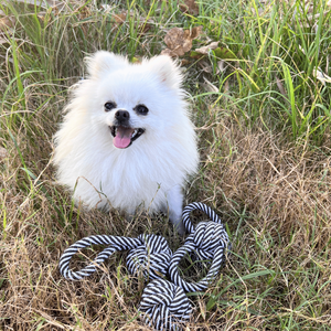 Ensemble de jouets en corde noire et blanche pour chiens - Product Image 3