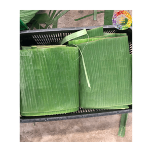 ใบกล้วยแช่แข็งใบเขียวสดและใหญ่เหมาะสำหรับการห่ออาหาร-ทางเลือกที่เป็นมิตรต่อสิ่งแวดล้อมการห่ออาหารและการนำเสนอบนโต๊ะ - Product Image 3