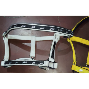 À VENDRE PP HALTER 3 PLIS AVEC DOUBLE ANNEAUX INDE COULEUR BLANC EN DOLLAR 2.5 CARTE DE CRÉDIT TAILLE ACCEPTÉE plein cob Shetland - Product Image 2