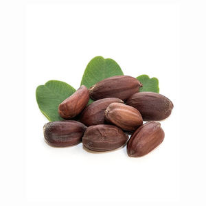 ขายส่งสารสกัดจากเมล็ดธรรมชาติ เมล็ดโจโจบาสีทอง - Product Image 5