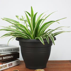 PIONEERA Pot de fleurs contemporain en plastique PP simple, durable, léger, avec trou de drainage, pour plantes d'intérieur/extérieur, maison et jardin - Product Image 3