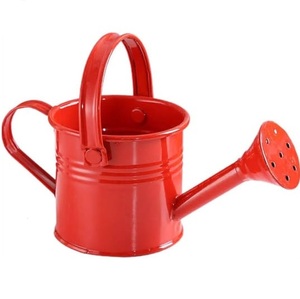Arrosoirs en métal de style unique, en émail, pour la maison et le jardin, arrosoirs classiques, élégants et modernes, vente en gros - Product Image 6