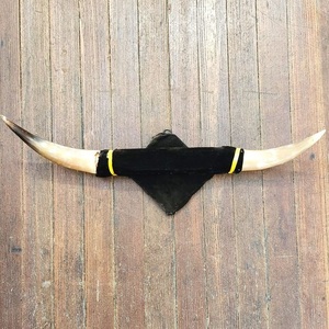 Cuerno de arte de la mejor calidad, cuernos de buey negros hechos a mano ECOLÓGICOS DE LA India, granja, hombre, cueva, decoración temática occidental - Product Image 2