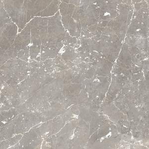 ได้รับความซับซ้อน600x600มมกระเบื้องพอร์ซเลนที่ผลิตในอินเดียโทนเย็นหินอ่อนดูกระเบื้องพื้นผิวที่ยอดเยี่ยมสำหรับบ้าน - Product Image 5