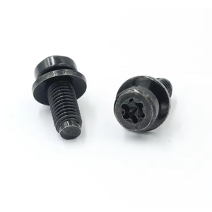 Tornillo Phillips de Óxido Negro de Fábrica con Arandela y Tres Combinaciones de Accesorios - Product Image 1