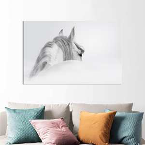 Lienzo Impreso Elegante: Decoración Animal - Arte de Caballo Blanco, Lienzo Enrollado - Product Image 1