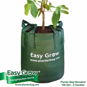 Hot Sale Easy Grow <b>Planter</b> Bag High Anti UV With Heavy Duty Handles 45 Litre Customized Color Strong Durable Flat Grow Bag - Product Image 2