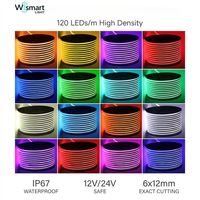 Ruban LED néon 12V/24V 6x12mm 120 LED/m IP67 étanche, flexible et dimmable, 5m pour enseignes DIY