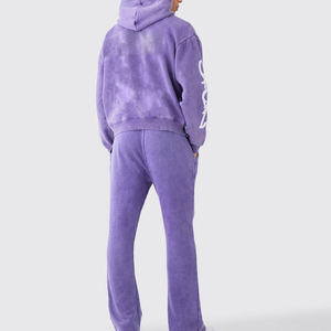 2025 dernière conception pull ajusté à capuche survêtement survêtement hiver été polaire tissu grande taille en gros OEM ensembles imprimés - Product Image 2