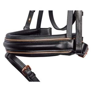 Brida Anatómica Mexicana Grackle ROSE GOLD Glow Crystal Bling Curve Brow Band - Product Image 2