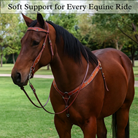 Ensemble de bride et de collier de poitrail pour cheval western, best-seller, réglable, confortable, durable, équipement d'équitation pour l'entraînement des chevaux