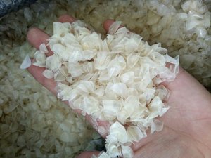ÉCHELLE DE PERCHE DE SUPER QUALITÉ DU FABRICANT VIETNAMIEN en 2025 - Product Image 4