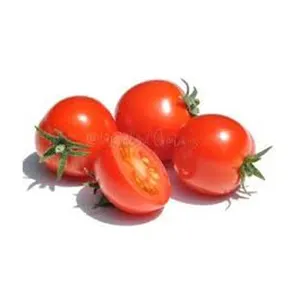 Vegetais Secos Naturais Tomates Cereja Meia coloração do tomate na indústria alimentar a granel Feito em preço seco