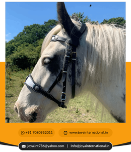 Meilleure qualité nouvelle bride de cheval de fantaisie médiévale Lazypony, bride de cheval baroque, bride en cuir faite à la main intelligente - Product Image 2