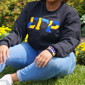 Coton Sigma Gama Rho Sorority Sweatshirt Pull Ras Du Cou Université Pour Les Femmes - Product Image 4