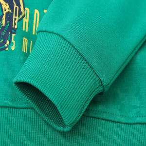 2025 primavera y otoño niños algodón Color sólido empalme sudaderas más vendidos - Product Image 3