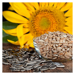 Wholesale New Crop GMO <b>Sunflower</b> Seeds Fresh Roasted <b>Kernel</b> in Bulk Packaging - Product Image 5