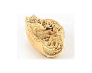 ผ้าขี้ริ้วเนื้อแช่แข็งรังผึ้ง - Product Image 6