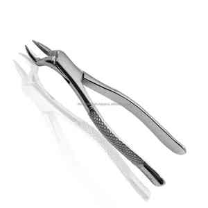 Fórceps quirúrgicos dentales de acero inoxidable Manual de alta calidad Agarre ergonómico Clase II Instrumento de extracción de dientes Certificado CE OEM - Product Image 2