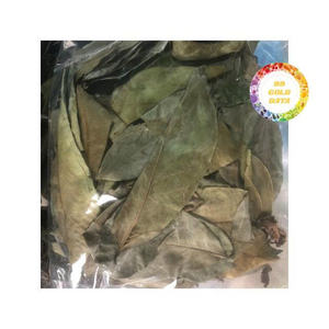 Hojas de Guanábana secas orgánicas de Vietnam, producto de hoja tropical ecológica para exportación y suministro a granel - Product Image 3