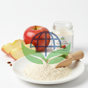 Polvo de Manzana Orgánico Sin OGM (No Modificado Genéticamente) Secado por Aspersión (FD), 100% Natural, Grado Alimenticio, Sin Azúcar Añadido, Envasado al Vacío, Proveedor a Granel de la India - Product Image 3