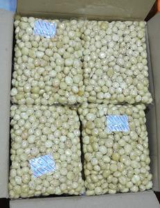 High Quality <b>Macadamia</b> <b>Nuts</b> Organic Loose Kernel with Premium Grade Shell Wholesome Raw Dried <b>Nuts</b> at Premium Price - Product Image 4