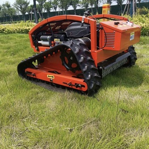 EPA รถตัดหญ้าในสวนขนาด28V ได้รับการรับรองจาก CE มีรีโมทคอนโทรลเบนซินเกรดแบบ DIY - Product Image 5