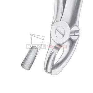 คีมถอนฟันที่มีฟันกรามบน18ซี่มีขนาดแตกต่างกันขายส่ง - Product Image 4