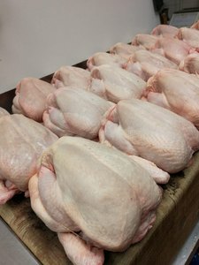 Pollo entero congelado de alta calidad, Halal, aves de corral frescas, calidad premium para exportación en todo el mundo, entrega rápida, compra a granel, precio barato - Product Image 5