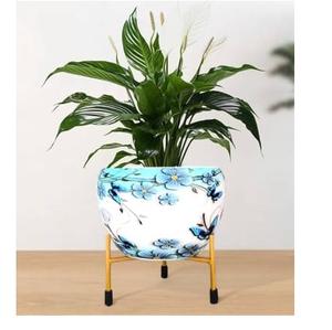 Jardinière en métal moderne pour jardinage intérieur et extérieur, salon, hôtel, restaurant, balcon, finition noire, support doré - Product Image 3