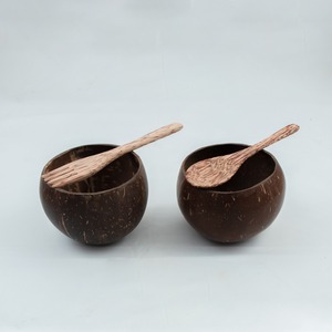 2025 Hot Sale High Quality HF Crafts Dinnerware Set 100% Natural 2-Coconut Bowls Portable Wooden Spoon <b>Desserts</b> New Chinese - Product Image 3