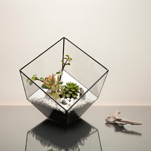 GET0406BK - Terrarium en verre géométrique noir incliné en forme de cube - 8,5 - Product Image 5