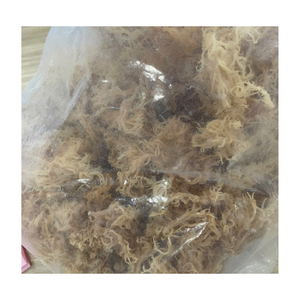 Mousse de mer séchée non piquante non salée Mousse irlandaise du Vietnam pour la préparation de gel naturel Smoothies et utilisations de salade d'algues - Product Image 2