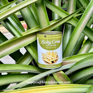 Vente en gros Marque privée Maïs en conserve en saumure sel conservé et emballé sous vide avec traitement de pelage - Product Image 1