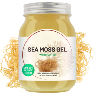 OEM <b>Sea</b> <b>Moss</b> Gel from Vietnam - Nutrition Nori Premium Food Agent And Support Nori Gel Seamoss Gel - Product Image 2