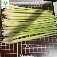 Citronnelle congelée de qualité supérieure meilleur pack de variétés d'épices santé-frites frites fraîches séchées haricots pois oignons graines de pommes de terre