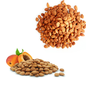 Apricot Kernel | ฟาร์ม-การประมวลผลสำหรับการใช้งานระดับมืออาชีพ - Product Image 2