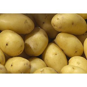 Patatas irlandesas frescas de calidad superior Precio de fábrica a granel Venta al por mayor Mejor grado Natural Farm Fresh Healthy Potato Supply - Product Image 6